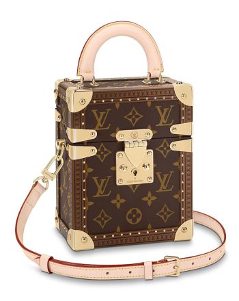 Louis Vuitton Camera Box M10079 Brown